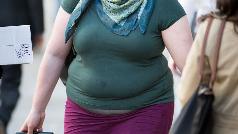 Obesity Solution: Flat Tummy and Weight-Loss Program